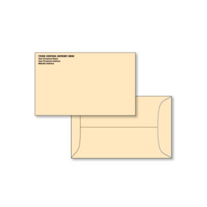 PW-516 Imprinted License Plate Mailing Envelopes